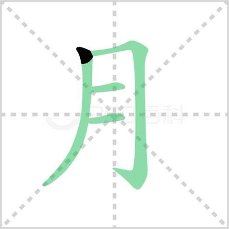 月字部首的字|部首为“月部”的字